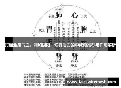 打通全身气血，调和阴阳，恢复活力的中成药推荐与作用解析