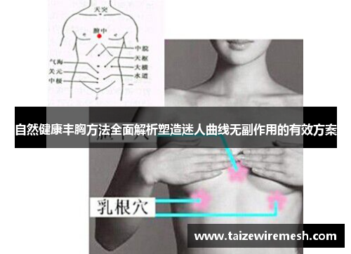 自然健康丰胸方法全面解析塑造迷人曲线无副作用的有效方案