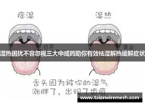 湿热困扰不容忽视三大中成药助你有效祛湿解热缓解症状